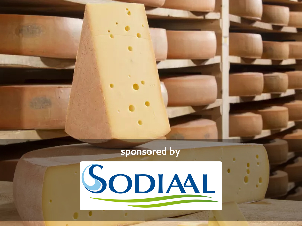 Sodiaal Cheese Category